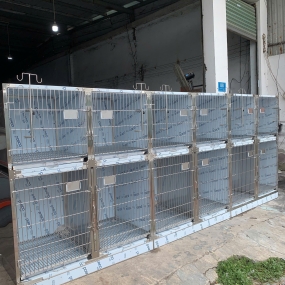 Chuồng icu (1)