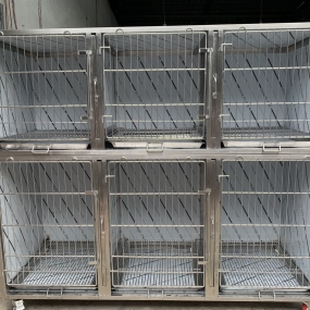 Chuồng lưu trú inox 304  Rộng 600 dài 1800 cao 1600