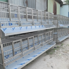 BỆNH VIỆN THÚ Y 