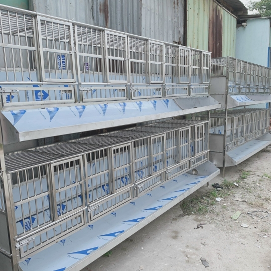 BỆNH VIỆN THÚ Y 